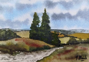 ORIGINAL AQUARELL - Landschaft im Naturpark Münden. - Bild 1 von 1