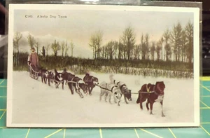 Postal Postal C143 Alaska Dog Team - Sin usar - Musher esquimal en doglsed - ¡Bonita! - Imagen 1 de 10