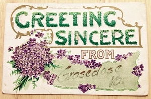 1910 GROSSECLOSE, VA, GEPRÄGTE VEILCHEN GRUSS POSTKARTE - Bild 1 von 2