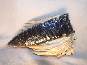 Unique Midnight Lace Obsidian Fox Ear Spear Point Flint Knapping Black Powder - Picture 1 of 4