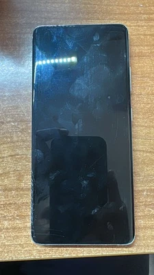 Samsung GH82-24591B Schermo con Cornice per Galaxy S21 Ultra  SOLO VETRO ROTTO - Immagine 1 di 2