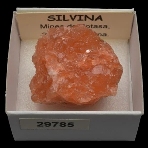 SILVINA (Mines de Potasa, Suria, Barcelona) #29785 / Sylvite - Picture 1 of 1