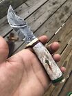 8"tactical Survival Hunting Fixed Blade Damascus Steel Knife Skinning Out Door