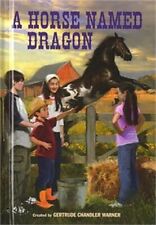 A Horse Named Dragon (Hardback or Cased Book)