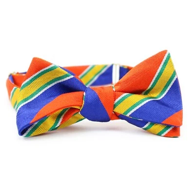 Pajarita Beau Ties of Vermont Multicolor Rayas Seda Repp Autoatada Mariposa Foto 1 de 4