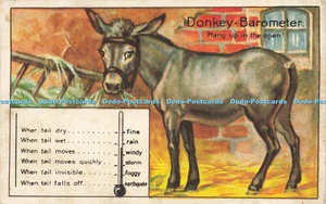 R599087 Eselbarometer Aufhängen im Freien Alpha Verlag Nr. 5164 - Bild 1 von 4