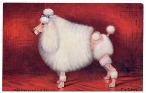 POODLE NAMED CHAMPION OLD SPRATTS DOG FOOD POSTCARD by F T DAWS - Picture 1 of 1