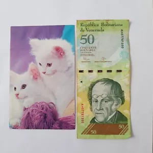 Billete de 50 bolívares Venezuela Postal Par de Cuties Gatos Blancos Años 60 Rectángulo - Imagen 1 de 2