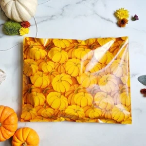 100 bedruckte Poly Versandtaschen 10x13 Versand Umschläge Taschen HERBSTKÜRBIS Kürbis - Bild 1 von 3