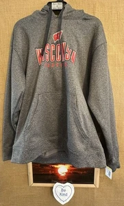 Champion adult unisex L “Wisconsin Badgers” gray hoodie pullover fleece long sle - Picture 1 of 7