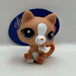 CAT #G7 #34 - Authentic Littlest Pet Shop - Hasbro LPS - Picture 1 of 4