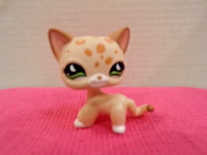 Littlest Pet Shop~#852~Leopard Cat~Orange~Brown Spots~Green Dot Eyes~BLEMISH - Picture 1 of 4