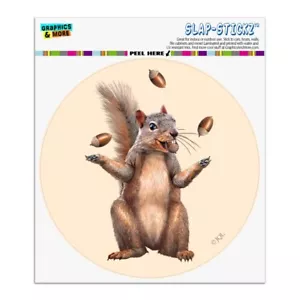 Squirrel Juggling His Nuts Crazy Funny Circle Bumper Window Sticker - Imagen 1 de 7