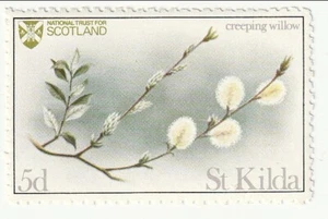 Scotland - Local, St Kilda 5d label(M) - Picture 1 of 1