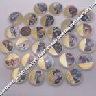 27pcs/lot Japanese Demon Slayer Gold Coin Collectibles Challenge Coins For Gift