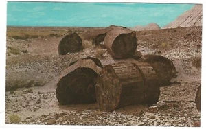 Postal de colección - Parque Nacional Bosque Petrificado, Arizona - Imagen 1 de 2