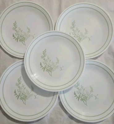 Juego de 5 Platos de Cena Corelle Spray Floral 10.25" Blanco con Diseño Verde LEER Foto 1 de 4