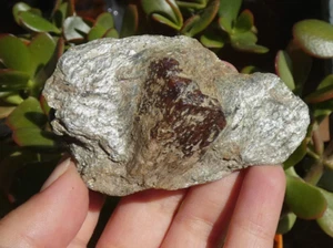 Granat Almandin Tirol 8x4,5cm Mineralien Sammlung Stein Lithotherapie selten - Bild 1 von 6