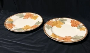 Vintage Lot of 2 Franciscan October Salad Plates 8" Retired Rare EUC - Picture 1 of 11