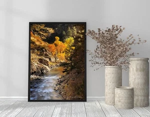 Golden Colorado Autumn Fall Aspen Trees Landscape Photography Print - Picture 1 of 3