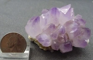 Amethystkristallcluster, Georgia - Mineralprobe zum Verkauf - Bild 1 von 7