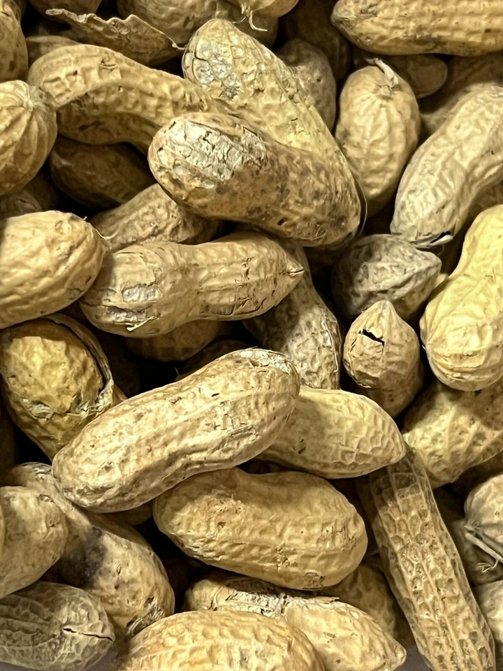 Erdnüsse mit Schale 3 Kg Papageienfutter Eichhörnchenfutter - Bild 1 von 3