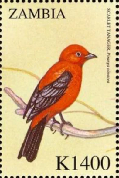 Zambia #Mi1237 MNH 2000 Birds Scarlet Tanager [900e] - Image 1 of 1