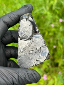 Piedras de agua preciosas JUNGIT C60 piedra cruda 123 gramos elite shungite #10T - Imagen 1 de 3