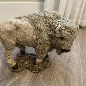 Bison From Branson MO The Doll Depot 8x9 - Picture 1 of 4