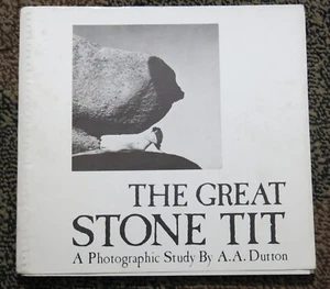 The Great Stone Tit A Photographic Study by A. A. Dutton - Picture 1 of 9