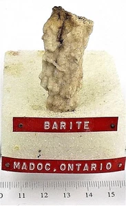 ALTER BARYT Präparat Formation Madoc, Ontario, Kanada flach 3 #129  - Bild 1 von 3