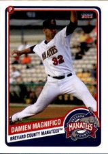 2014 Brevard County Manatees Choice #10 Damien Magnifico Mesquite Texas TX Card