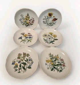 Set of 6 Johann Seltmann Vohenstrauss Bavaria 7.5” Plates Wild Flower Botanical - Picture 1 of 16