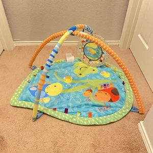 TAGGIES Bugs and Hugs Play Activity Mat Tummy Time Fun infant play gym - Picture 1 of 9