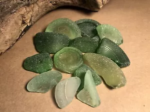 Genuine Atlantic Ocean Sea Glass Bottle Bottoms 13 Pieces #54 - Picture 1 of 5