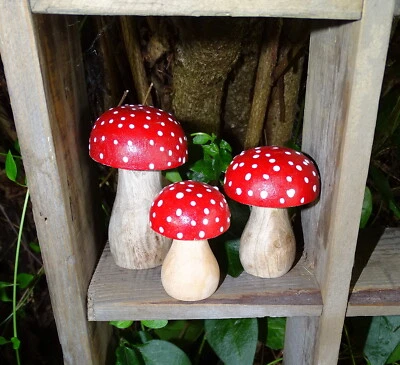 Deko-Pilz-Holz Fliegenpilz "Funghi" rot Holzpilz Herbst kleine Punkte Landhaus - Bild 1 von 2
