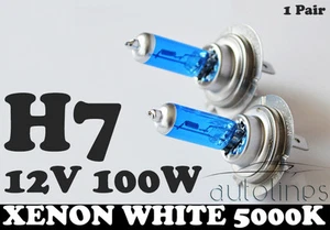 H7 12V 100W Xenon White 5000k Halogen Car Headlight Lamp Globes Bulbs LED HID - Picture 1 of 8