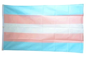 Transgender Pride Hissflagge  Fahnen Flaggen 150x250cm - Bild 1 von 1