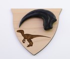 Velociraptor Dino Kralle -ca.10 cm Rückenlänge auf Plakette Deko Fossilien
