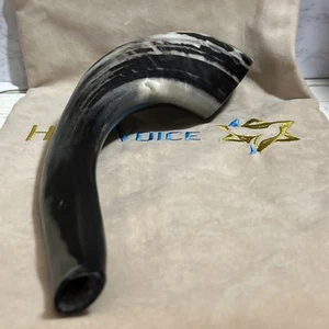 Holy Voice Jewish Israeli Shofar corno di ariete musicale fatto a mano in Israele 11" - Foto 1 di 15