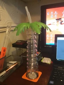 BOTELLA DE AGUA DE PLÁSTICO TEMÁTICA PALMERA 12 PULGADAS FECHA DE NACIMIENTO NAVIDAD SED - Imagen 1 de 1