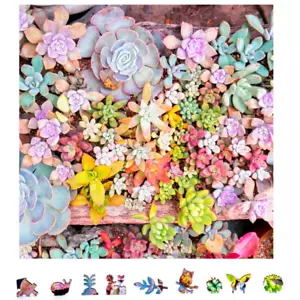 Wooden Jigsaw Puzzle for Adults by ZenChalet - 1000 Pieces - Garden Succulents - Picture 1 of 7