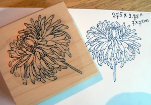 Estampilla de goma grande de flor de crisantemo P3 3x3" WM - Imagen 1 de 2