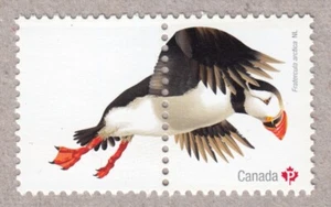 ATLANTIC PUFFIN = Hoja de sello de recuerdo con pestaña = Birds of Canada 2016 #2929d MNH - Imagen 1 de 1