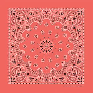 Carolina Creative Bandanna (Honeysuckle) Paisley Print 22" x 22" Hav-A-Hank - Picture 1 of 1