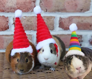Pet Christmas Hat Rabbit Hamster Guinea Pig Rats Kitten Small Animals Outfit - Picture 1 of 16