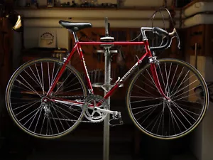 Colnago Super Saronni Roadbike Rennrad Campagnolo Nuovo Gran Sport Size 55cm - Bild 1 von 15