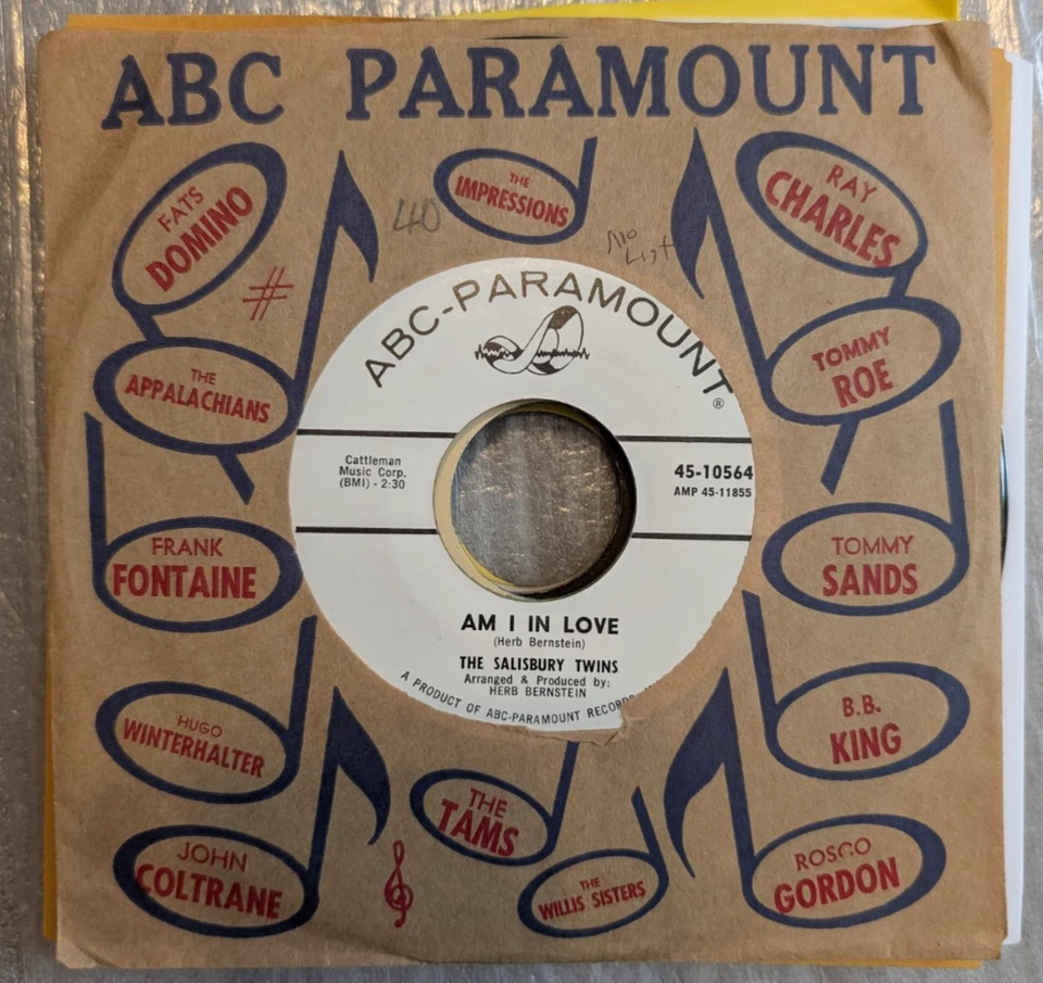 SOUL The Salisbury Twins He'll Never Know What Hit Him 1964 VG+ PROMO - Image 1 of 3