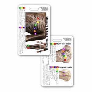 EKG 12 Lead Placement Vert Ref. Badge Card ID Pocket Guide Quick Cheat Sheet - Picture 1 of 1