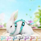 Pig All Body Bunny Leads Small Pet  Leads Rabbit Harness Leash Pet Traction